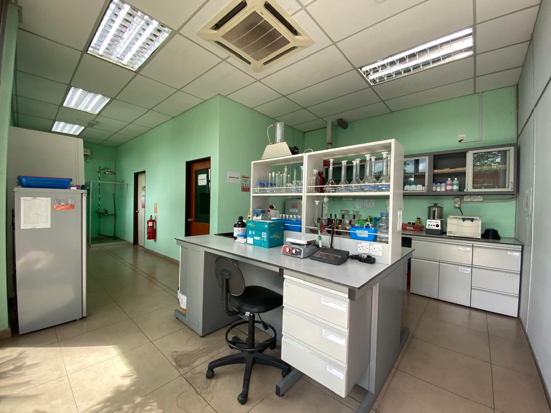 WhatsApp Image 2024-03-29 at 10.32.29 AM (12)